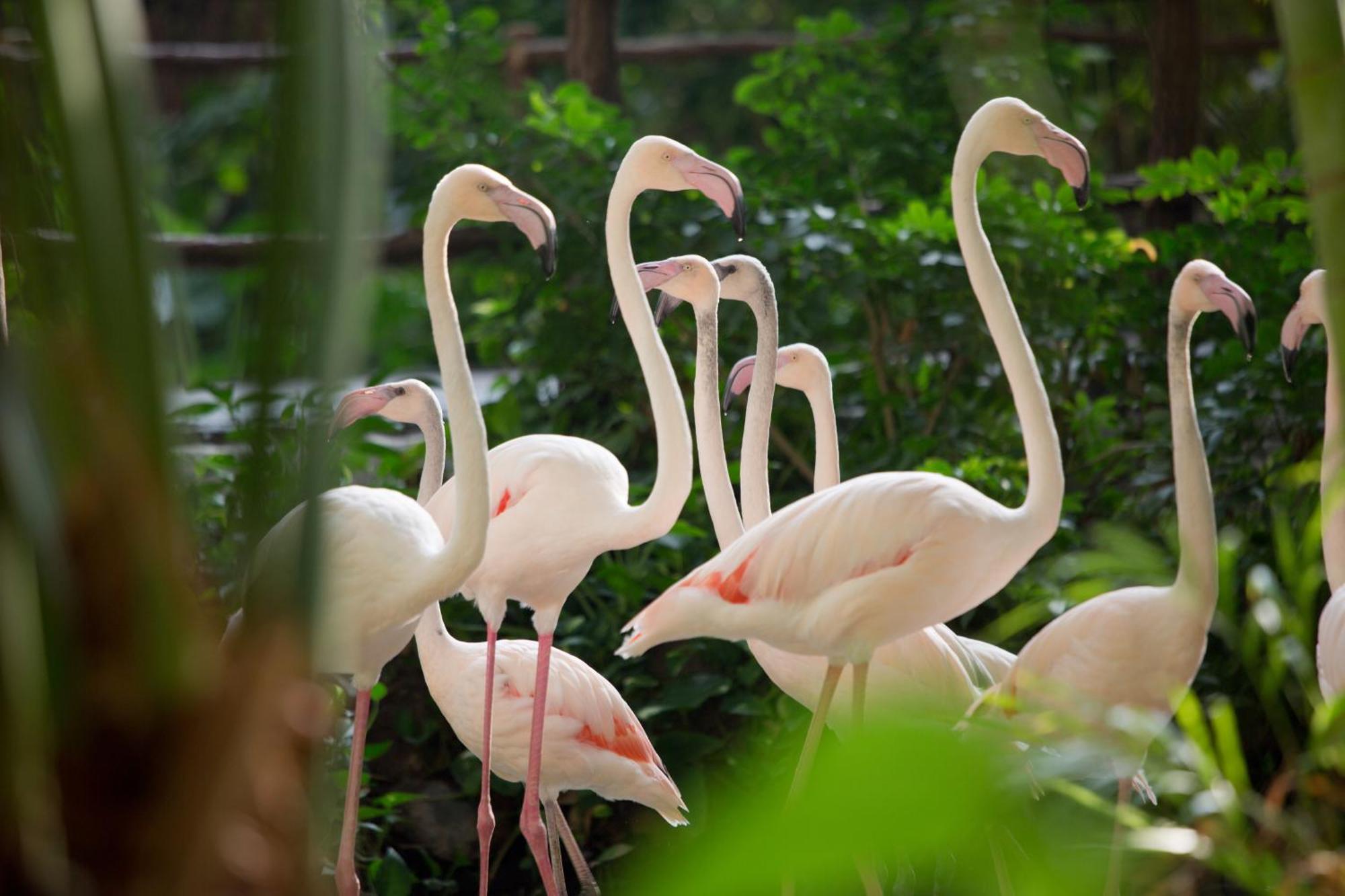 Tropical Islands Resort Briesen (Dahme-Spreewald) Exterior foto